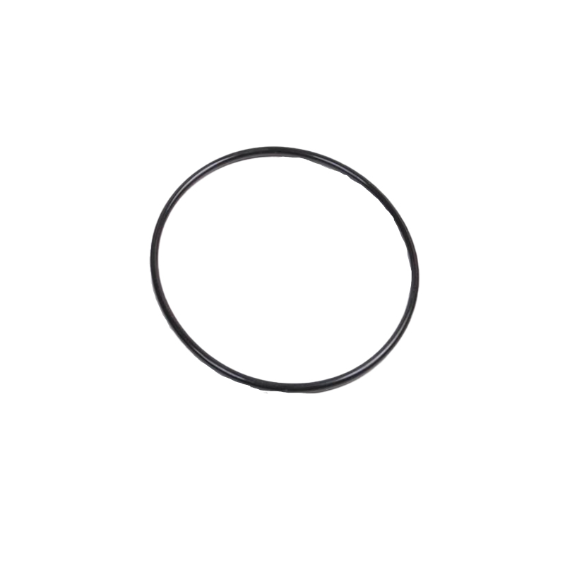O-ring - Passar Self-Cleaning Filterlock 449