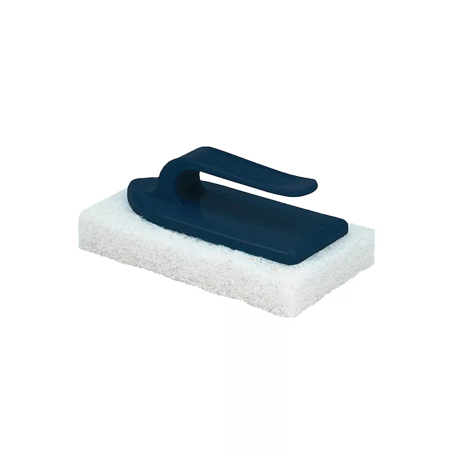 Delphin kantrengörningssvamp
