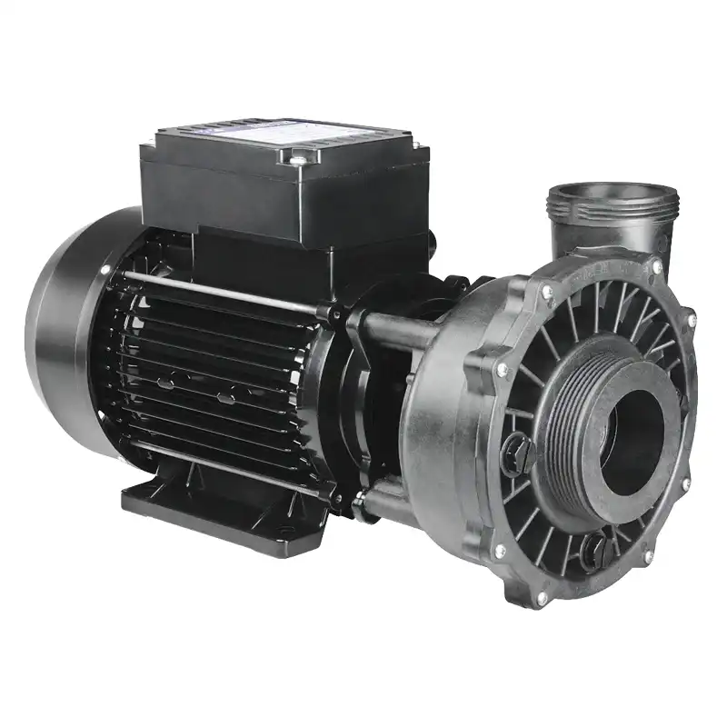 Massage pump 2,5HP, 2-Speed, ink.sladd